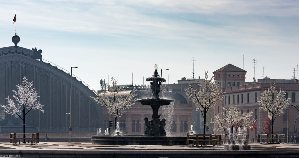 Fountain in the traffic circle just in front of Atocha Station in Madrid.