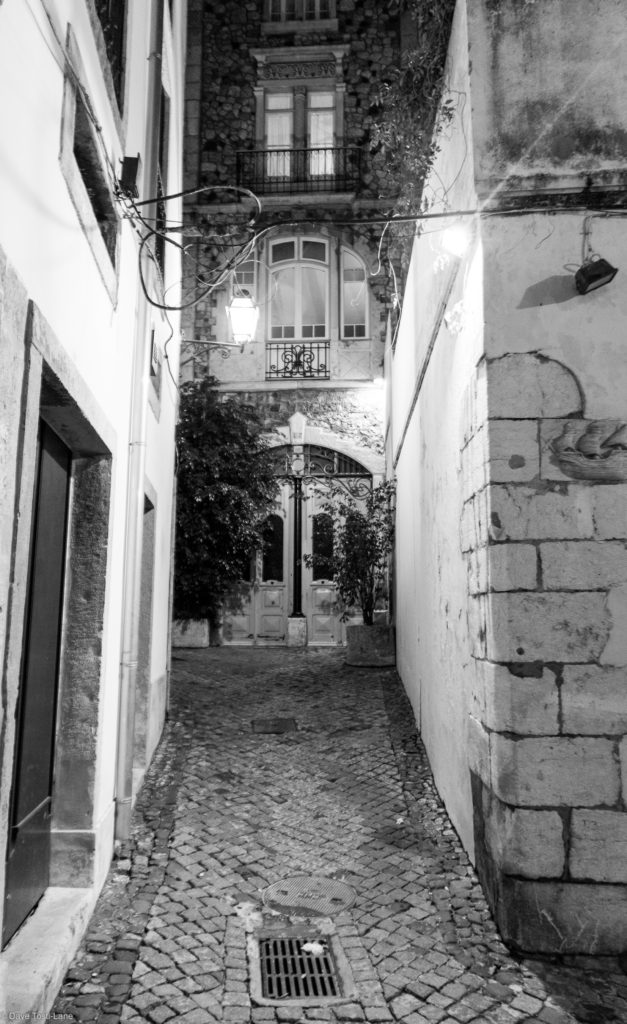 Alfama district at night - B&W version